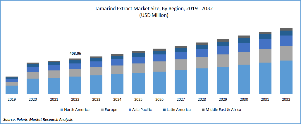 Tamarind Extract Market Size